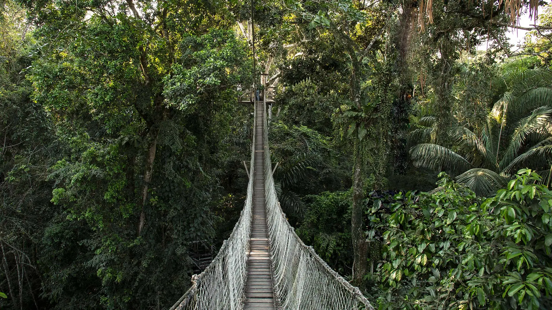 Explore the Peruvian Amazon