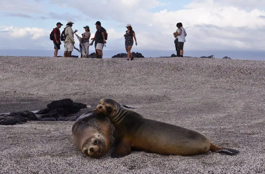 Best Islands to Visit in Galapagos