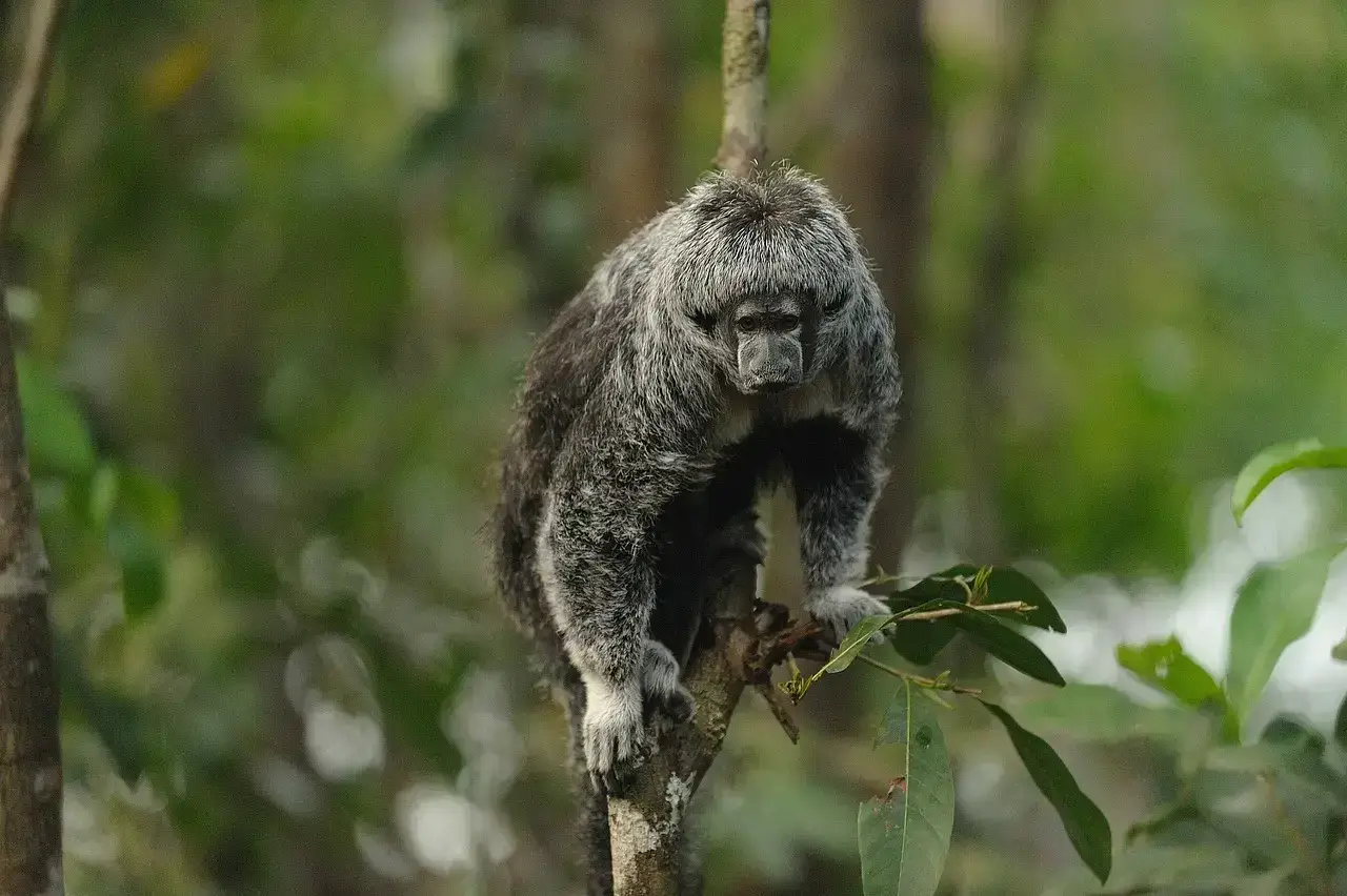 brazil highlights adventure