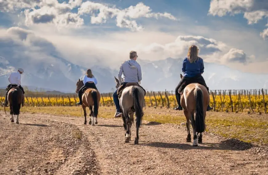 mendoza & aconcagua adventure