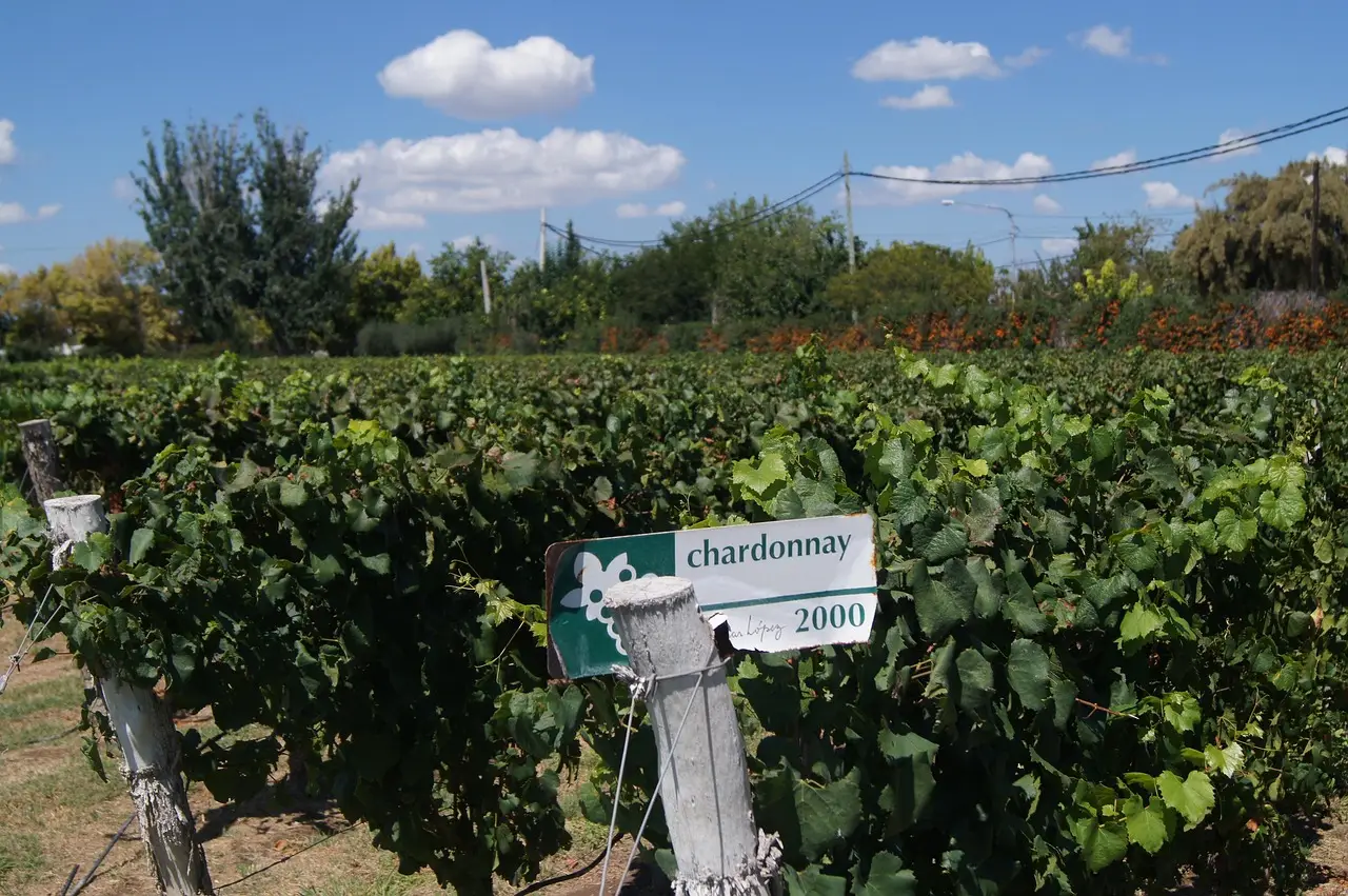 vineyard argentina uruguay Chile 13 day patagonia adventure tour