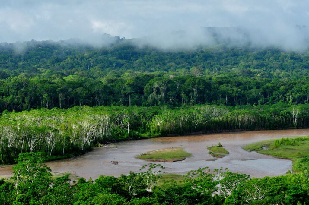 Dense tropical forest and river bend in Madidi National Park, Bolivia