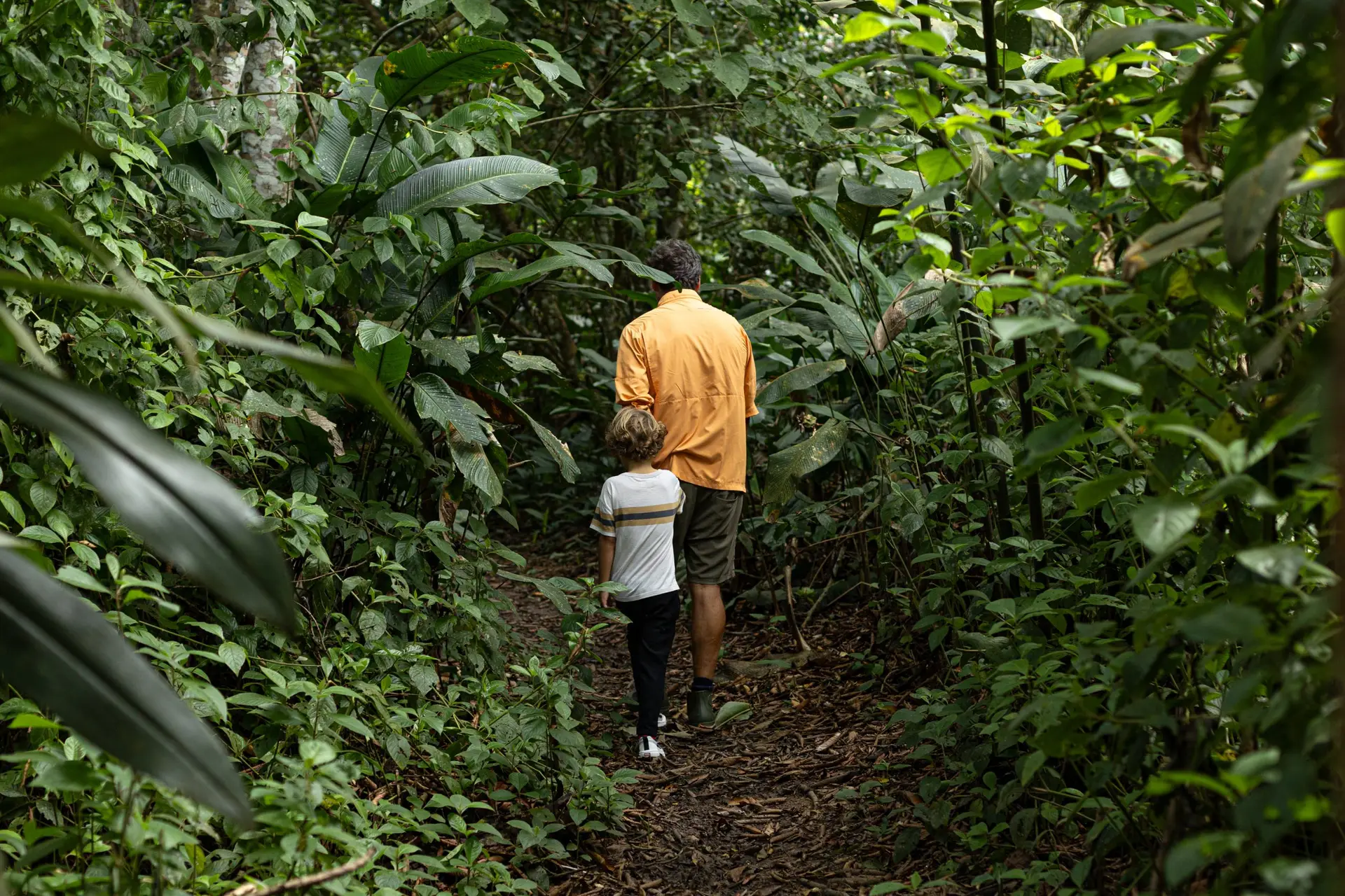 Amazon walk machu picchu galapagos with amazon rainforest