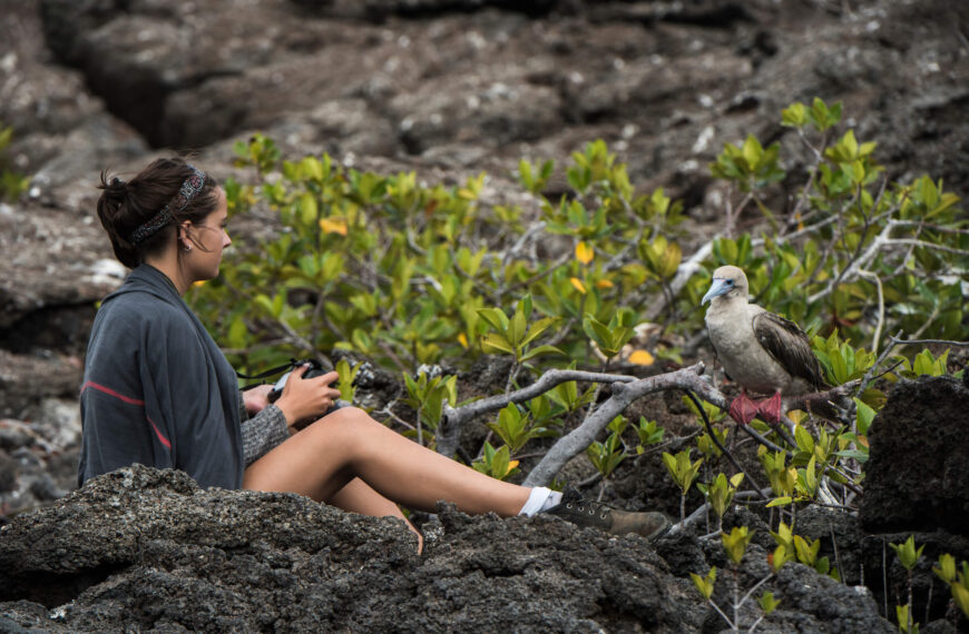 machu picchu galapagos with amazon rainforest